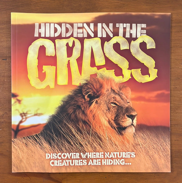 Taylor, Barbara - Hidden in the Grass (Paperback)