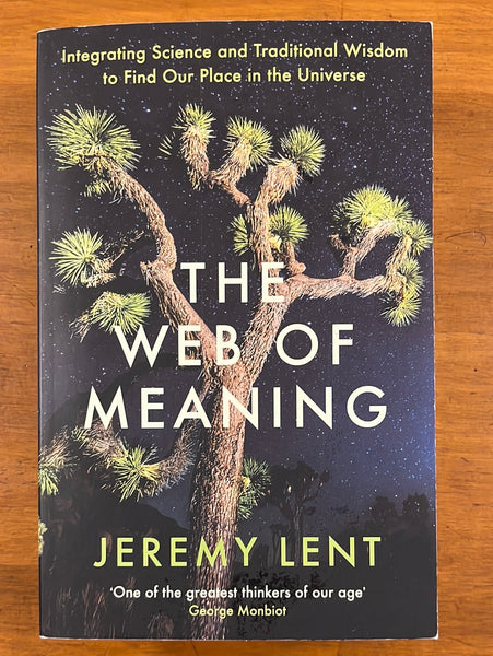 Lent, Jeremy - Web of Meaning (Paperback)