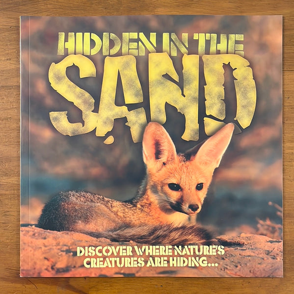 Taylor, Barbara - Hidden in the Sand (Paperback)