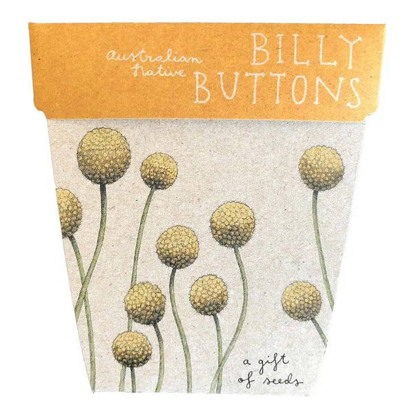 Sow n Sow - Billy Buttons