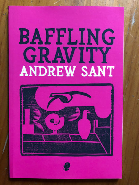 Sant, Andrew - Baffling Gravity (Paperback)