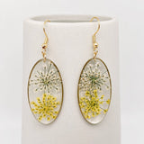 MQ Dangles - Two-Tone Queen Anne's Lace Dried Flowers Oval