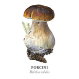 Memory Game-Viazmensky-Mushrooms