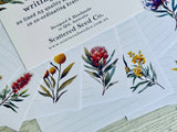 Letter Writing Set - Australian Native Floral