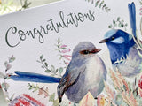 Card - Congrats Superb Fairy Wren