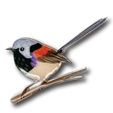 Selatan Brooch - Bird Variegated Fairy Wren