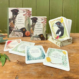 Card Game - I am a Magpie I am a Currawong