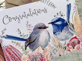 Card - Congrats Superb Fairy Wren