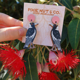 Australian Bird Earrings - Magpie