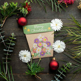 Sow n Sow - Christmas Native Daisies