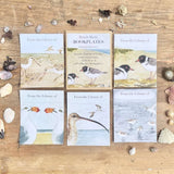 Bookplates - Beach Birds