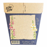 Sow n Sow - Thinking of You