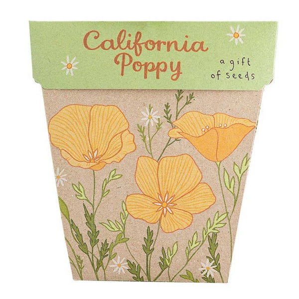 Sow n Sow - California Poppy