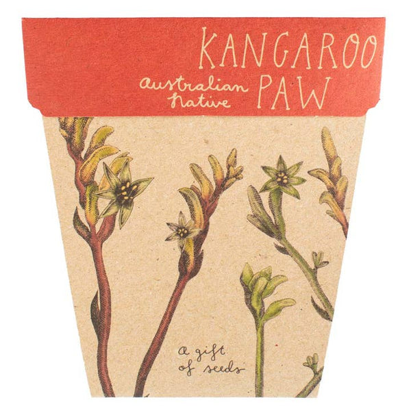 Sow n Sow - Kangaroo Paw