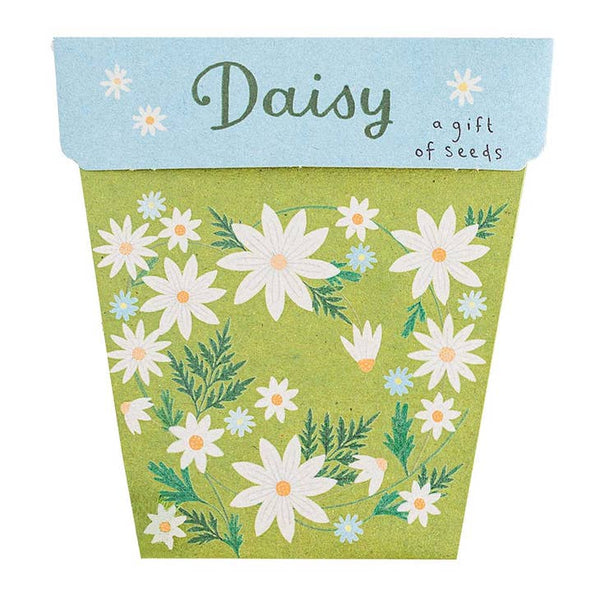 Sow n Sow - Daisy