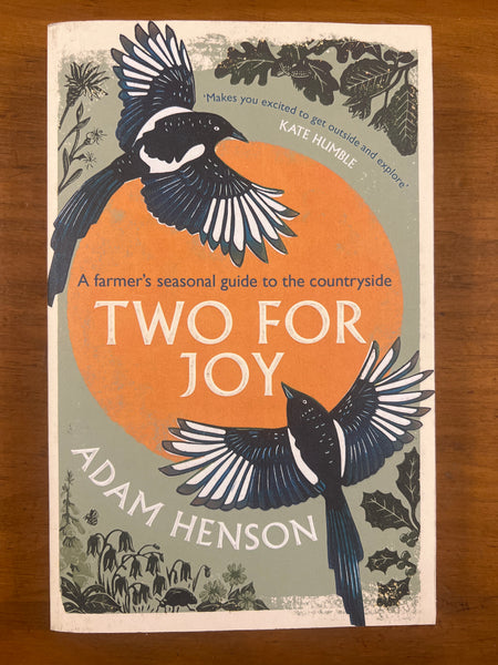 Henson, Adam - Two For Joy (Paperback)