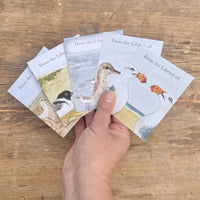 Bookplates - Beach Birds