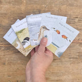 Bookplates - Beach Birds