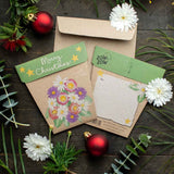 Sow n Sow - Christmas Native Daisies