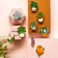 Occasionalish Pin - Swiss Cheese Plant