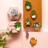 Occasionalish Pin - Swiss Cheese Plant