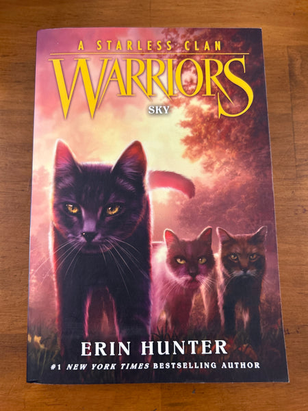 Hunter, Erin - Warriors Starless Clan 02 Sky (Paperback)