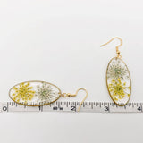 MQ Dangles - Two-Tone Queen Anne's Lace Dried Flowers Oval
