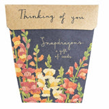 Sow n Sow - Thinking of You