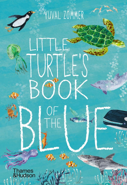 Board Book - Zommer, Yuval - Little Turtle's Book of the Blue