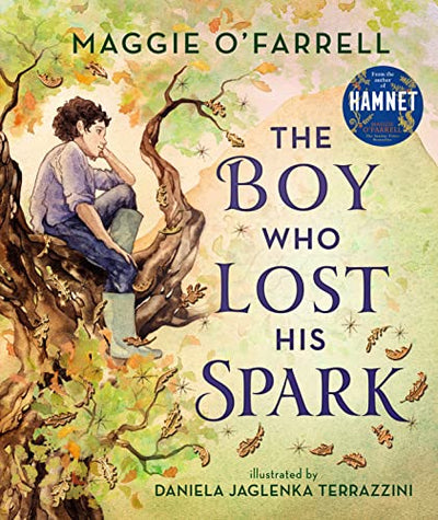 Hardcover - O'Farrell, Maggie - Boy Who Lost His Spark