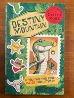 Ward, Nick - Lost Diary of Charlie Small 04 Destiny Mountain (Paperback)