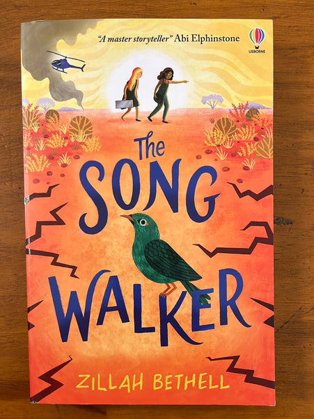 Bethell, Zillah - Song Walker (Paperback)