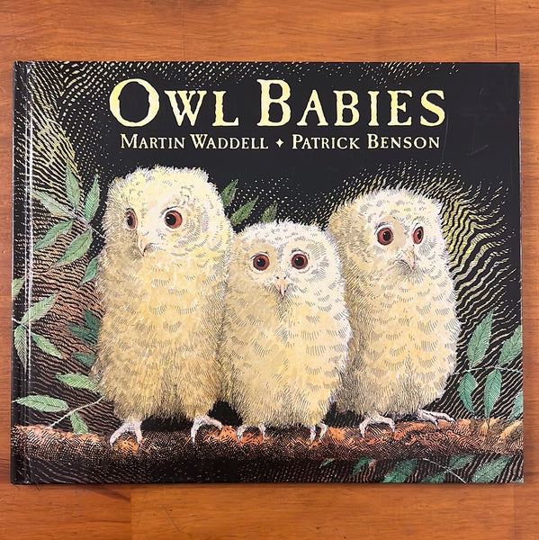 Waddell, Martin - Owl Babies (Hardcover)