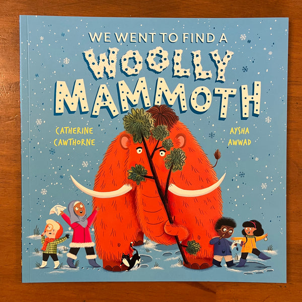 Cawthorne, Catherine - We Went to Find a Woolly Mammoth (Paperback)