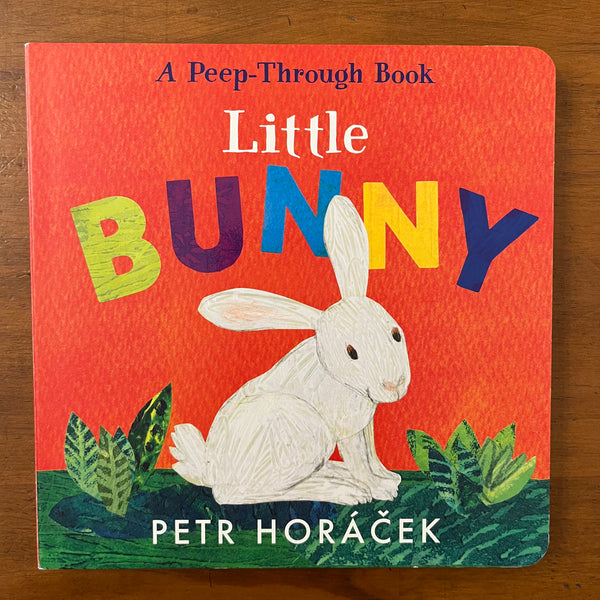 Horacek, Petr - Little Bunny (Board Book)
