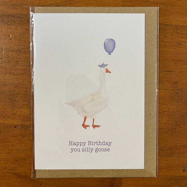 The Curious Cactus - Happy Birthday You Silly Goose