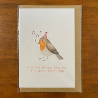 The Curious Cactus - Little Birdy Told Me it's Your Birthday