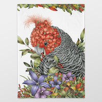 Marini Ferlazzo Tea Towel - Gang Gang Cockatoo