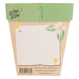 Sow n Sow - Christmas Native Daisies