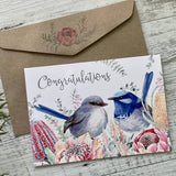 Card - Congrats Superb Fairy Wren