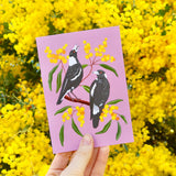 Australian Card - Magpie Wattle