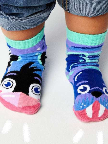Pals Socks Kids Lge - Penguin & Walrus