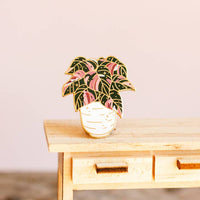 Occasionalish Pin - Pink Princess Philodendron