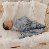 Muslin Wrap - Dinosaurs of the World