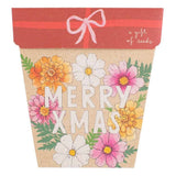Sow n Sow - Christmas Blooms