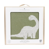 Pram Knitted Blanket - Dinosaur