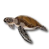 Selatan Brooch - Green Turtle