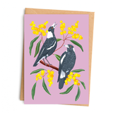 Australian Card - Magpie Wattle