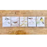Bookplates - Bush Birds