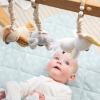 2pk Stroller Toy - Koala & Cockatoo